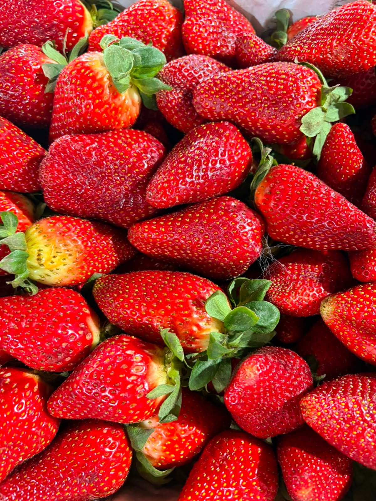 Frutillas
