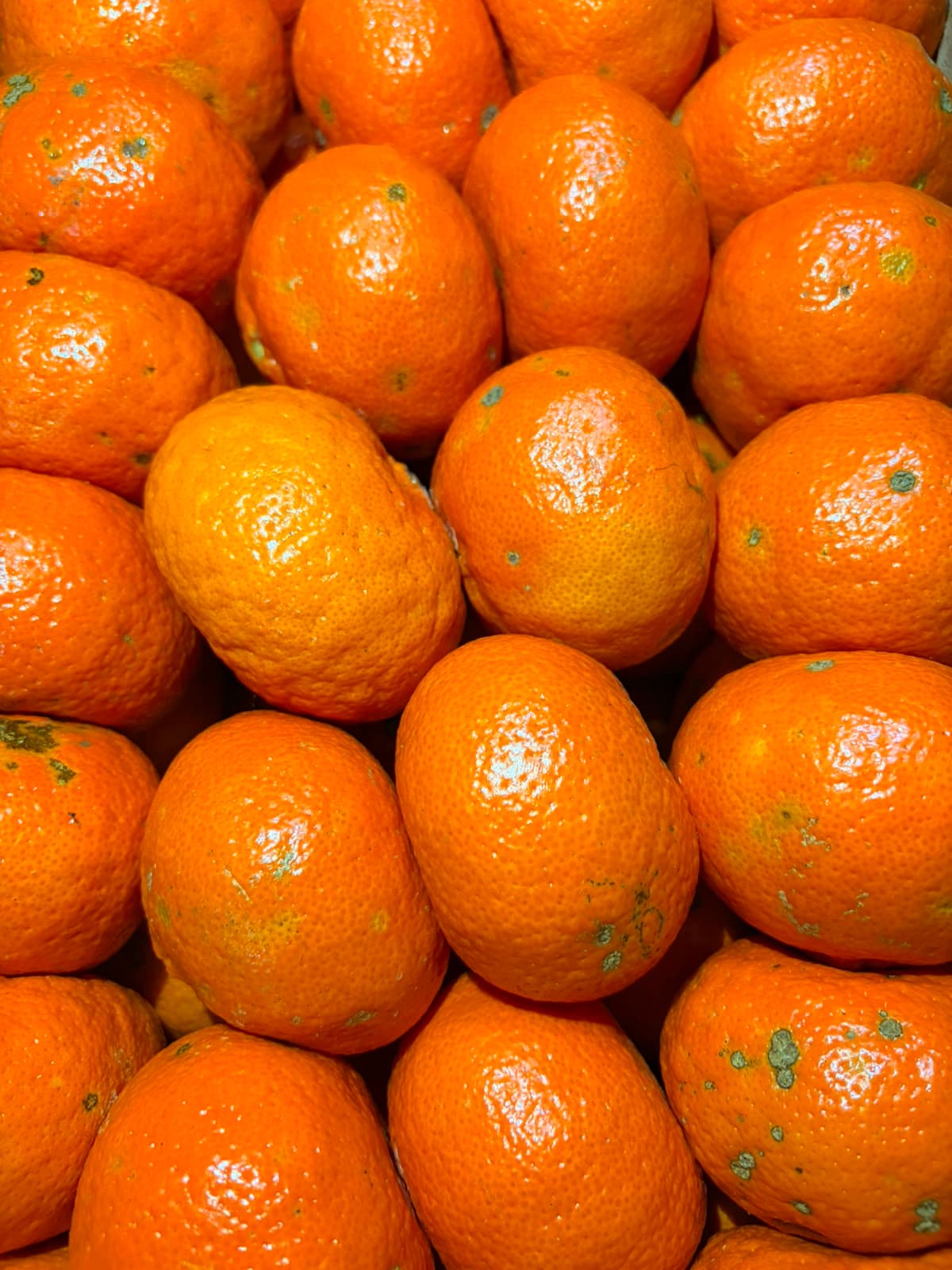 Mandarina premium