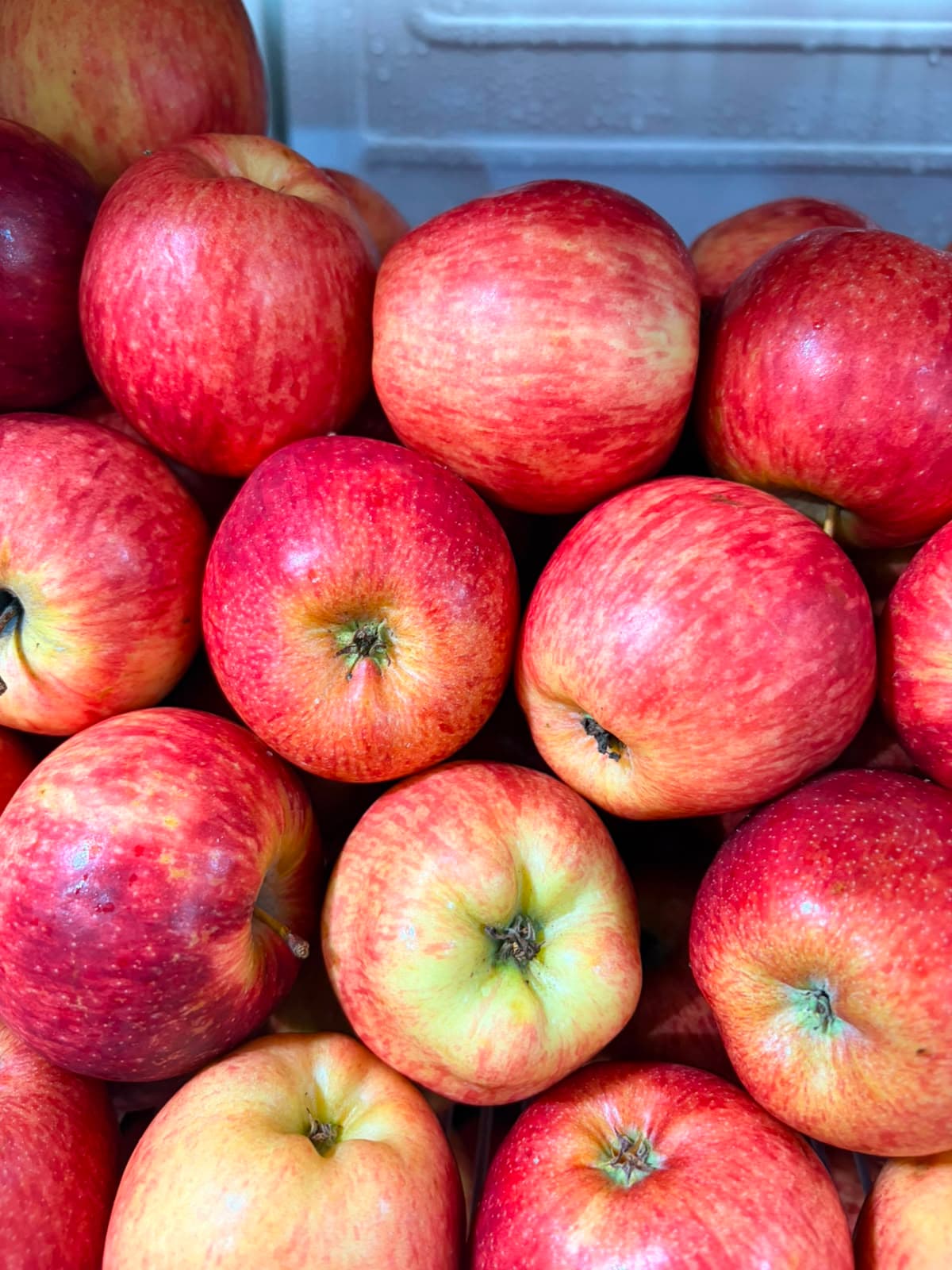 Manzana Roja